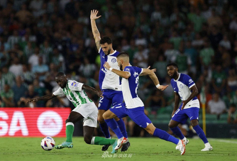 的成长过程 的成长过程